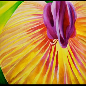 Non à l'éxcision